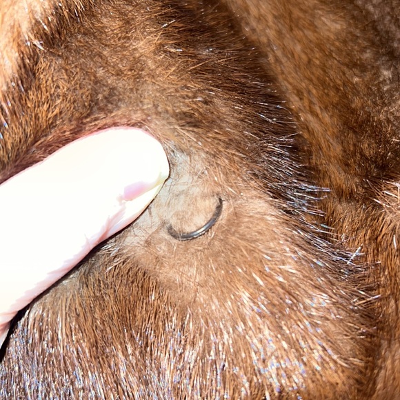 Vintage mink coat ❤️HP❤️ - Picture 14 of 16